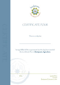 Certificate Four